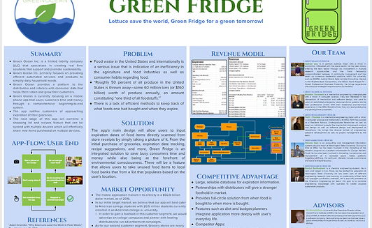 Green Fridge: Energy-Efficient Cooling Solutions